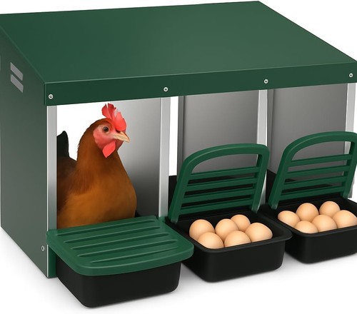 Holes chicken nesting - 3,