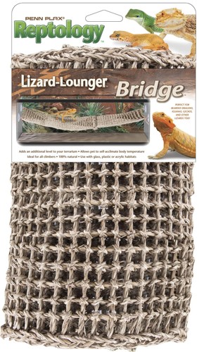 Extra large - large, lizard