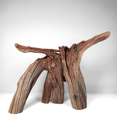 Manzanita driftwood - manzanita,