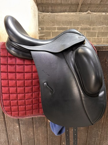 Harry dabbs allure dressage - allure,