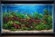 Fish Tank Background Backing