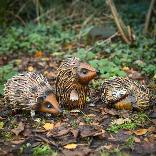 Hedgehog family steel garden - hedgehog,