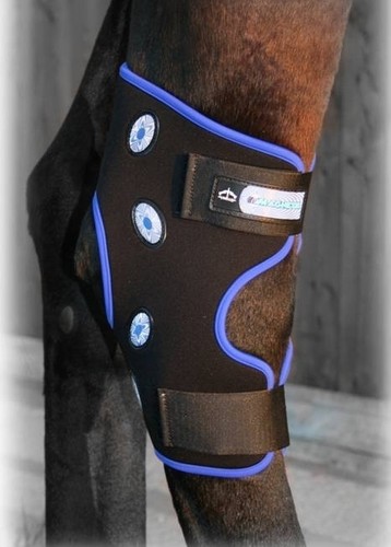Veredus hour magnetik hock - 4,