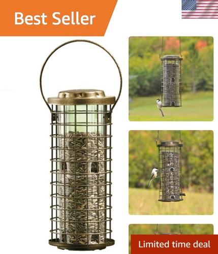 Squirrel safe bird - bird, feeder