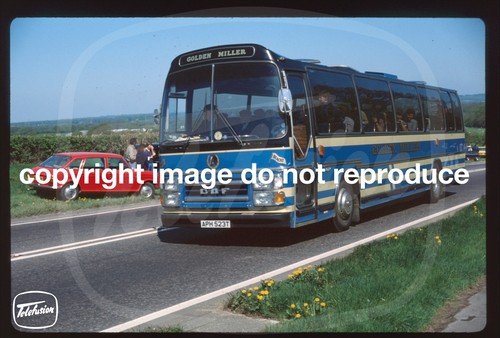 Copy coach slide golden - coach,