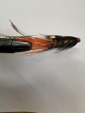 Pot Belly Pig Orange or red