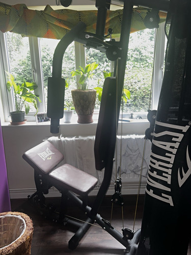 Everlast adjustable home - everlast,