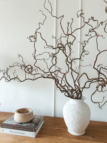 Real decorative dried - real, twisted