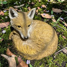 Highly Detailed Curled Up Fox