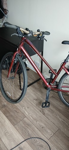 Ridgeback motion bike open - motion,