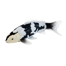 Black & White Koi Carp Shiro Utsuri Toy 12.6x12.6x4.5cm Realistic Fish Figurine