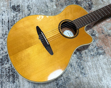 YAMAHA APX5NA T  (T0000)