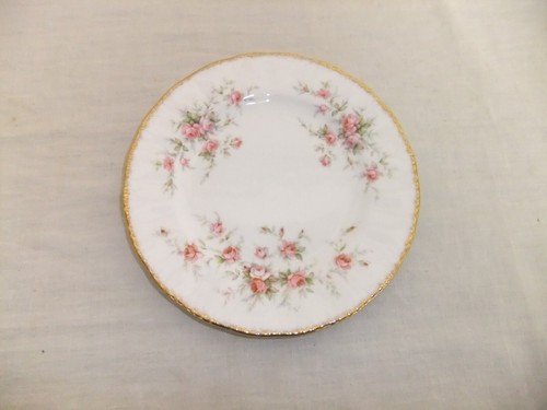 Paragon victoriana rose - paragon,