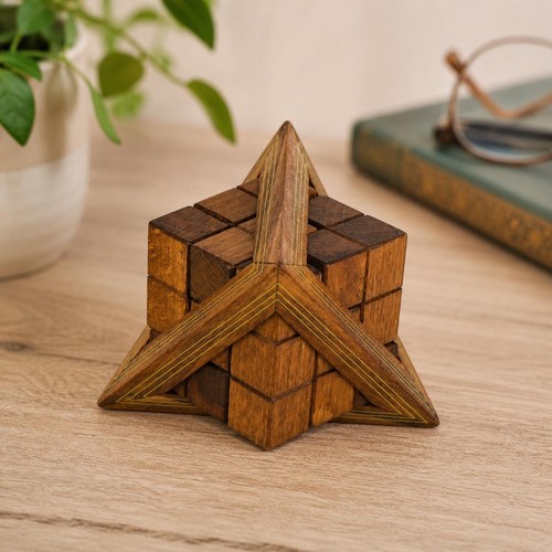 True genius puzzle - true,