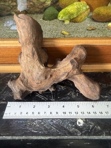 Natural aquarium driftwood - natural,