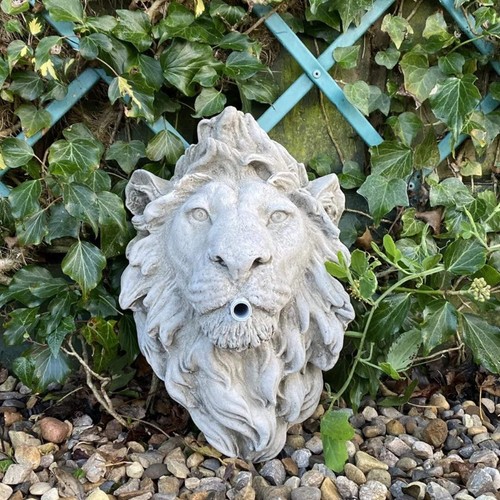 Lion head fountain wall plaque - lion,