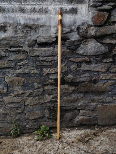Welsh rowan pommel - rowan, pole