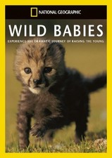 National Geographic: Wild Babies [DVD] - DVD  YQVG The Cheap Fast Free Post