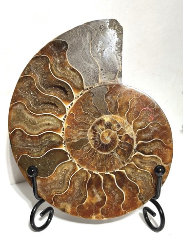 5cm 133g large madagascan - 133g,