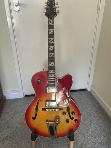 Aria pro hollow - hollow, body