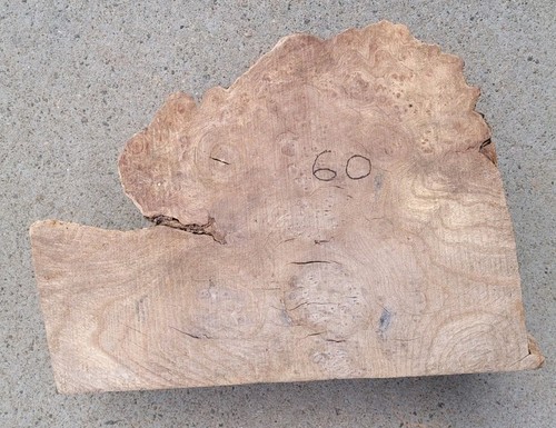 Timber scottish burr elm - timber, blank