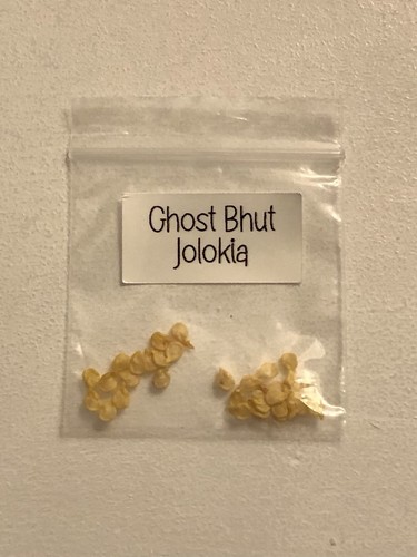 Ghost bhut jolokia - bhut,