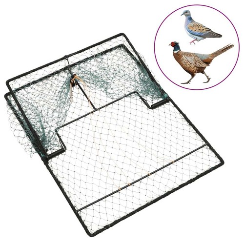 Bird trap green 50x40 steel - bird,