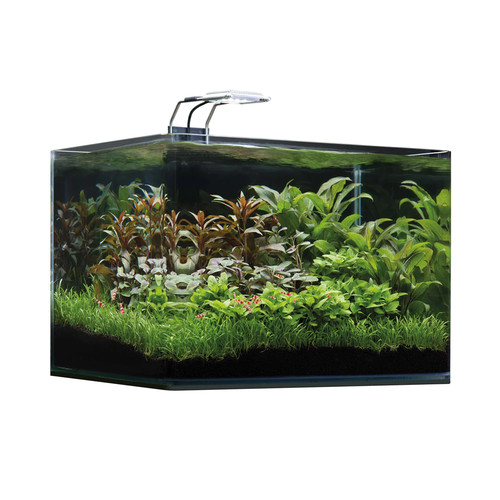 Dennerle nano scapers aquarium - scapers,