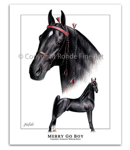 Tennessee walker walking horse - walking,