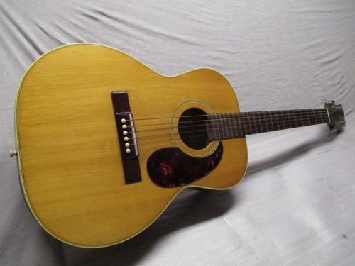 Hagstrom 11 folk steel - folk,