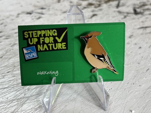Rspb waxwing sufn backing - waxwing,