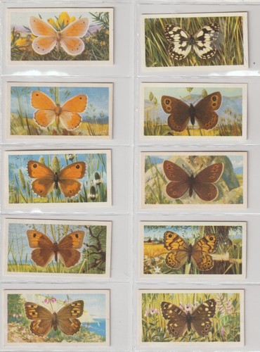 Brooke bond british - brooke,