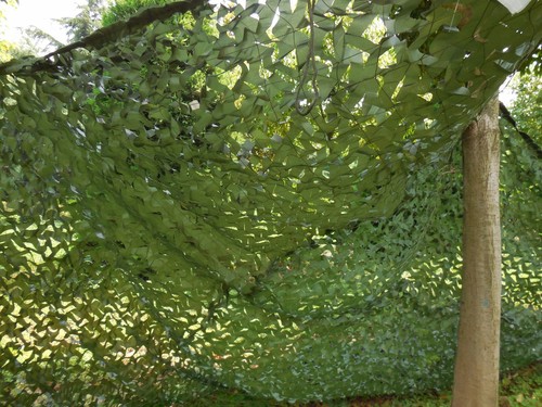 2x3m army green - green, military