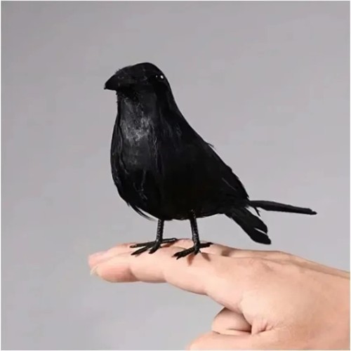 Realistic black crow halloween - black,