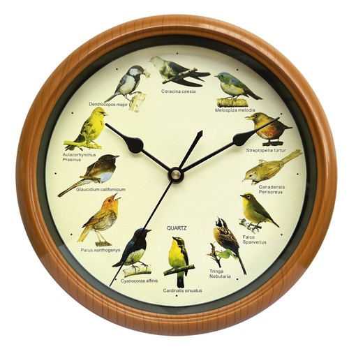Singing bird wall - bird, clock