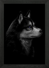 the siberian husky Framed Wall