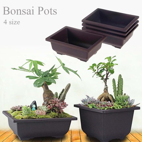 Retro plastic bonsai training - retro,