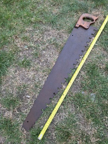 Vintage logging saw forrestry - vintage,