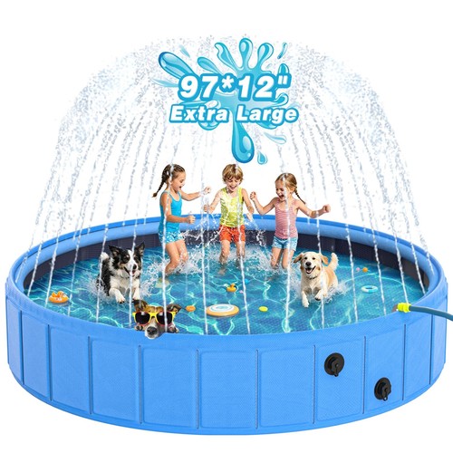Epn foldable dog - dog, pool
