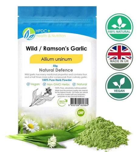 Wild ransoms garlic allium - /,