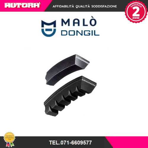 10x1075 trapezoidal belt - 10x1075,