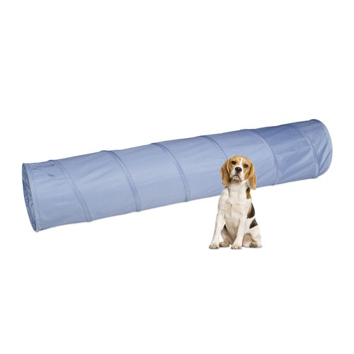 Dog tunnel pet - dog, play