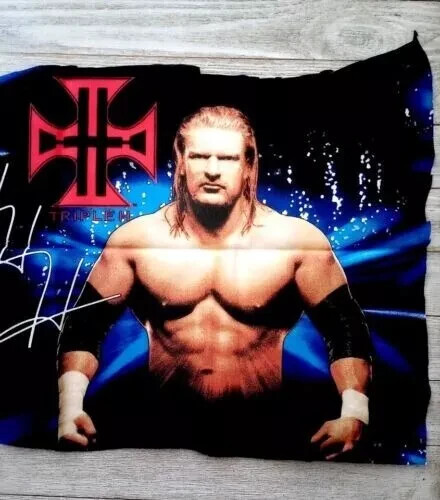Wrestling wwe fun fabric scrap - wwe,