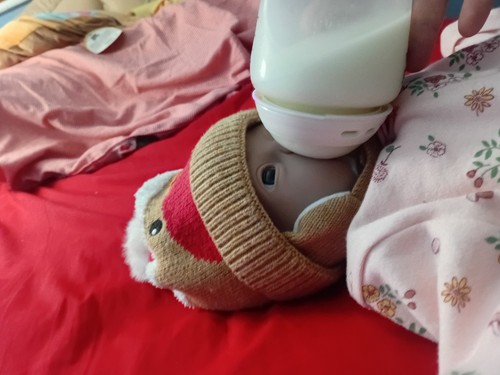 Silicone doll full - doll, ivita