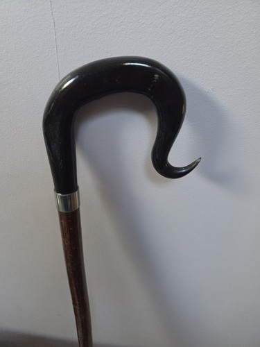 Shepherds crook walking stick - walking,