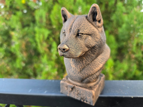 American akita bust - akita,