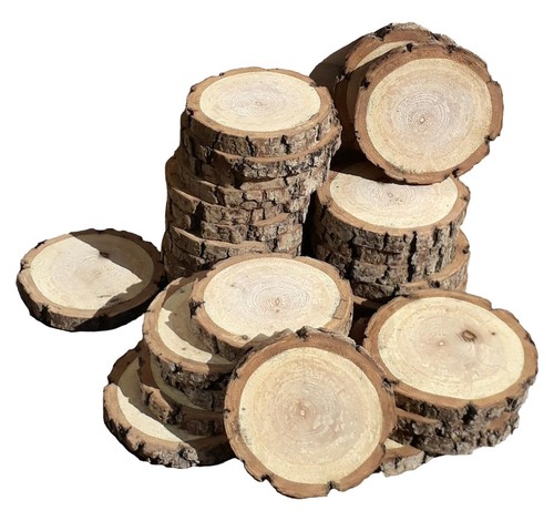 60x wooden slices wood log - slices,