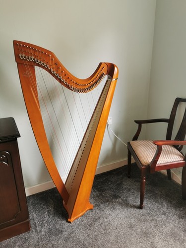 The camac isolde harp in - camac, is