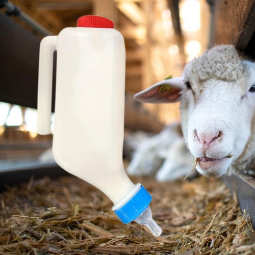 Livestock feeding bottle calf - bottle,
