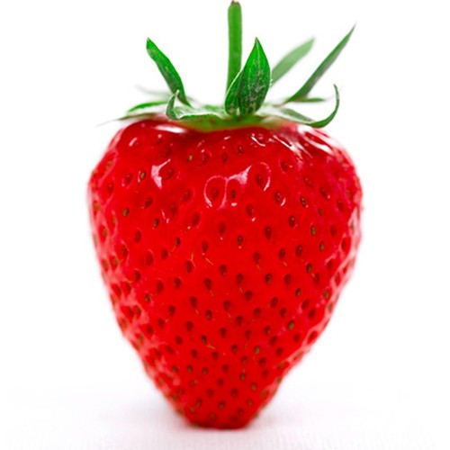 Strawberry honeoye - 1, 'honeoye'